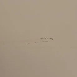 Discount WOOOD Daily Closet Double 200x100 cm grenen dakargrau