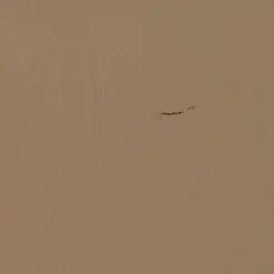 Hot WOOOD Lowen opbergkast grenen mud