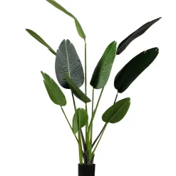 WOOOD Strelitzia kunstplant groen 164 cm