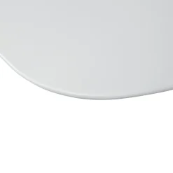 Clearance WOOOD Tablo tafelblad essen mist organisch lang 220x100 cm