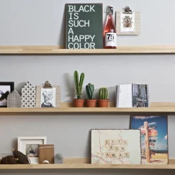 Clearance WOOOD VT Fotolijstplank blank eiken 100 cm